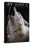 Alaska - Wolf Howling-Lantern Press-Stretched Canvas