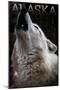 Alaska - Wolf Howling-Lantern Press-Mounted Art Print