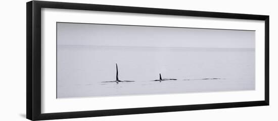 Alaska-Art Wolfe-Framed Photographic Print