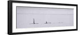 Alaska-Art Wolfe-Framed Photographic Print