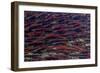 Alaska-Art Wolfe-Framed Photographic Print