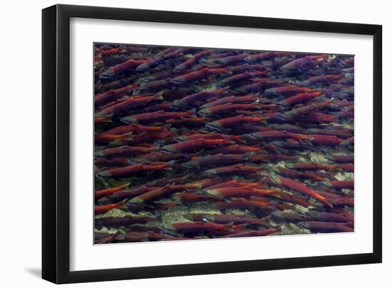 Alaska-Art Wolfe-Framed Photographic Print