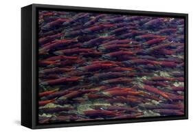 Alaska-Art Wolfe-Framed Stretched Canvas