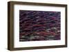 Alaska-Art Wolfe-Framed Photographic Print