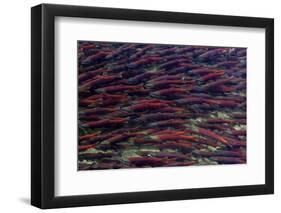 Alaska-Art Wolfe-Framed Photographic Print