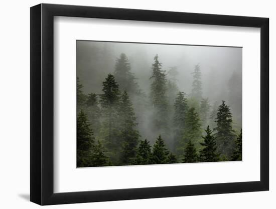 Alaska-Art Wolfe-Framed Photographic Print