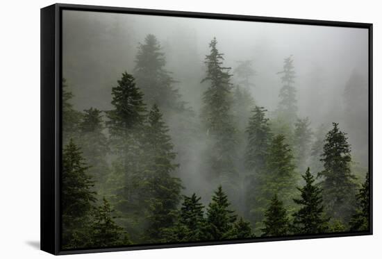 Alaska-Art Wolfe-Framed Stretched Canvas