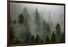 Alaska-Art Wolfe-Framed Premium Photographic Print