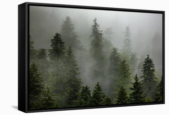 Alaska-Art Wolfe-Framed Stretched Canvas