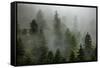 Alaska-Art Wolfe-Framed Stretched Canvas