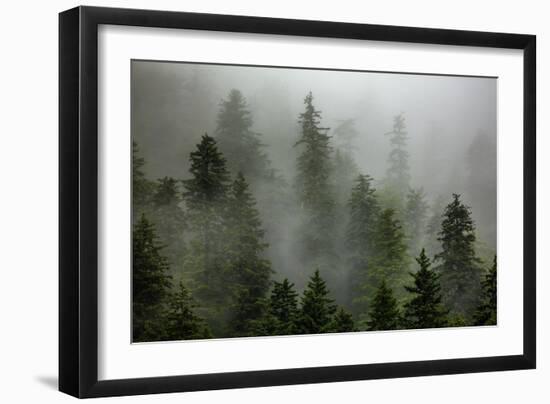 Alaska-Art Wolfe-Framed Photographic Print