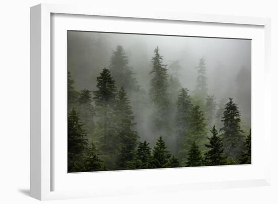 Alaska-Art Wolfe-Framed Photographic Print