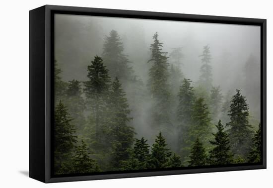 Alaska-Art Wolfe-Framed Stretched Canvas