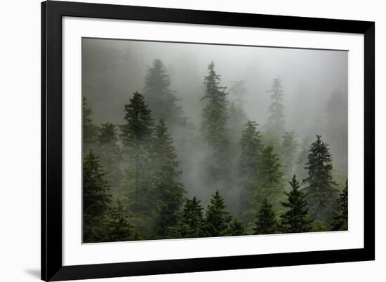 Alaska-Art Wolfe-Framed Photographic Print