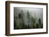 Alaska-Art Wolfe-Framed Premium Photographic Print