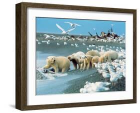 Alaskan Brown Bear Roars, McNeil River State Game Preserve, Alaska, USA-Howie Garber-Framed Premium Photographic Print