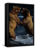 Alaskan Brown Bears in Brooks River-Paul Souders-Framed Stretched Canvas