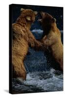 Alaskan Brown Bears in Brooks River-Paul Souders-Stretched Canvas