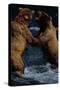 Alaskan Brown Bears in Brooks River-Paul Souders-Stretched Canvas