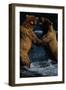 Alaskan Brown Bears in Brooks River-Paul Souders-Framed Premium Photographic Print