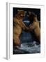 Alaskan Brown Bears in Brooks River-Paul Souders-Framed Photographic Print