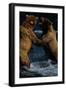 Alaskan Brown Bears in Brooks River-Paul Souders-Framed Photographic Print