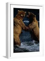 Alaskan Brown Bears in Brooks River-Paul Souders-Framed Photographic Print