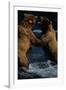 Alaskan Brown Bears in Brooks River-Paul Souders-Framed Photographic Print