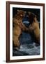 Alaskan Brown Bears in Brooks River-Paul Souders-Framed Photographic Print