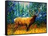Alaskan Elk-Megan Aroon Duncanson-Framed Stretched Canvas