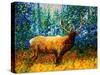 Alaskan Elk-Megan Aroon Duncanson-Stretched Canvas