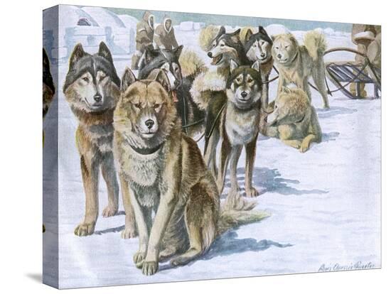 Stretched Canvas Print, , large