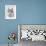 Alaskan Klee Kai-Barbara Keith-Framed Giclee Print displayed on a wall