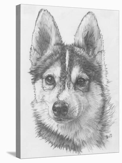 Alaskan Klee Kai-Barbara Keith-Stretched Canvas