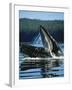 Alaskan Log Cache with Mt. Mckinley, Denali National Park, Alaska, USA-Hugh Rose-Framed Photographic Print