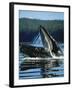 Alaskan Log Cache with Mt. Mckinley, Denali National Park, Alaska, USA-Hugh Rose-Framed Photographic Print