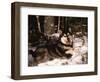 Alaskan Malamute Dog in Woodland, USA-Lynn M. Stone-Framed Premium Photographic Print