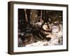 Alaskan Malamute Dog in Woodland, USA-Lynn M. Stone-Framed Photographic Print