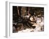 Alaskan Malamute Dog in Woodland, USA-Lynn M. Stone-Framed Photographic Print