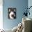 Alaskan Malamute Dog Portrait, Illinois, USA-Lynn M^ Stone-Photographic Print displayed on a wall