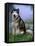 Alaskan Malamute Near a Pond-Lynn M^ Stone-Framed Stretched Canvas