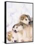 Alaskan Malamute Puppies in the Snow-Lynn M^ Stone-Framed Stretched Canvas