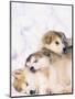 Alaskan Malamute Puppies in the Snow-Lynn M^ Stone-Mounted Premium Photographic Print