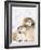 Alaskan Malamute Puppies in the Snow-Lynn M^ Stone-Framed Photographic Print