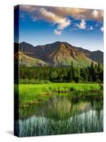 Alaskan Mountain Reflections-Steven Maxx-Stretched Canvas