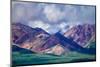 Alaskan Mountainscape-Steven Maxx-Mounted Photographic Print