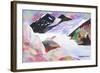 Alaskan sea lion-Neela Pushparaj-Framed Giclee Print