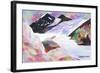 Alaskan sea lion-Neela Pushparaj-Framed Giclee Print