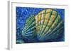 Alaskan Seashells-Megan Aroon Duncanson-Framed Art Print