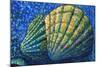 Alaskan Seashells-Megan Aroon Duncanson-Mounted Art Print